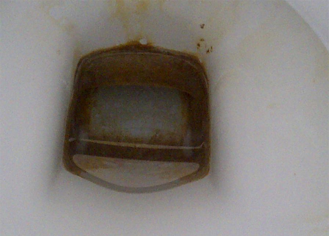Rusty Toilet